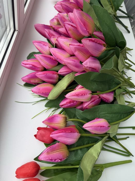 Цветы тюльпаны для декора