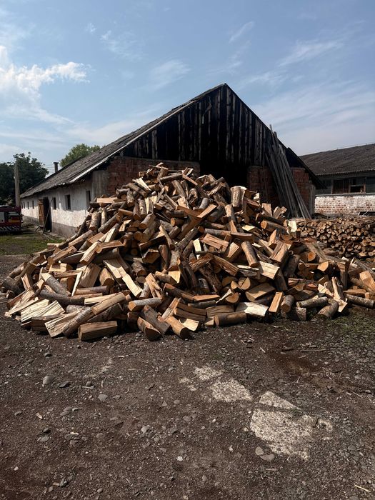 Lemn de foc esență tare – Bistrița și județul Bistrița-Năsăud