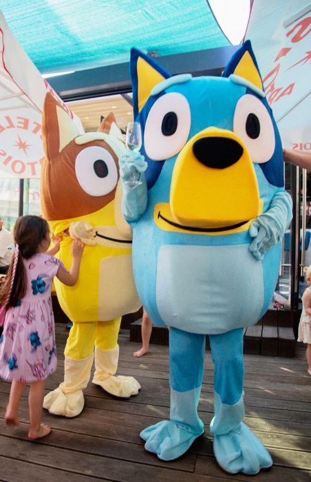 Аниматор Блуи и Бинго