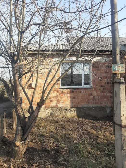 Недвижимость дома