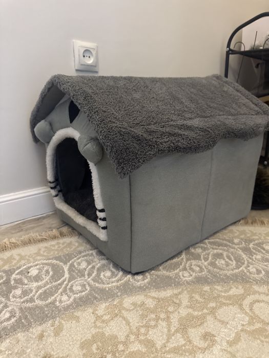 Кошка Британскую в/у