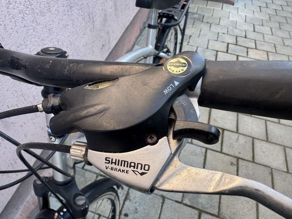 Bicicleta barbateasca