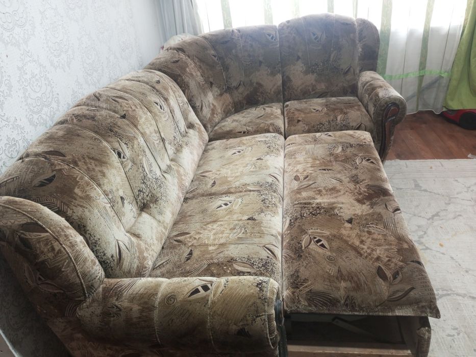 Отдам срочно в дар