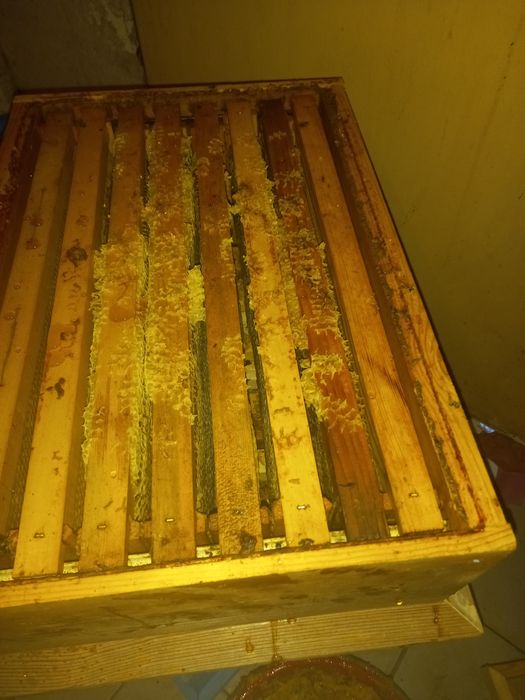 Натурален пчелен мед 100%от природата