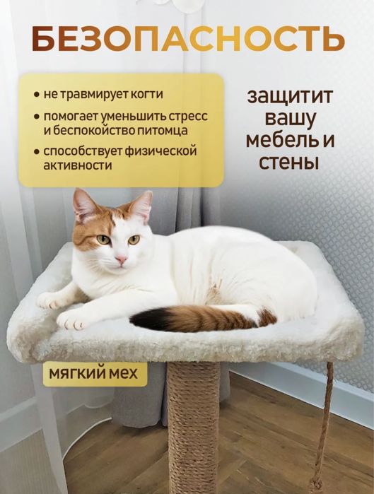 Когтеточка для кошки