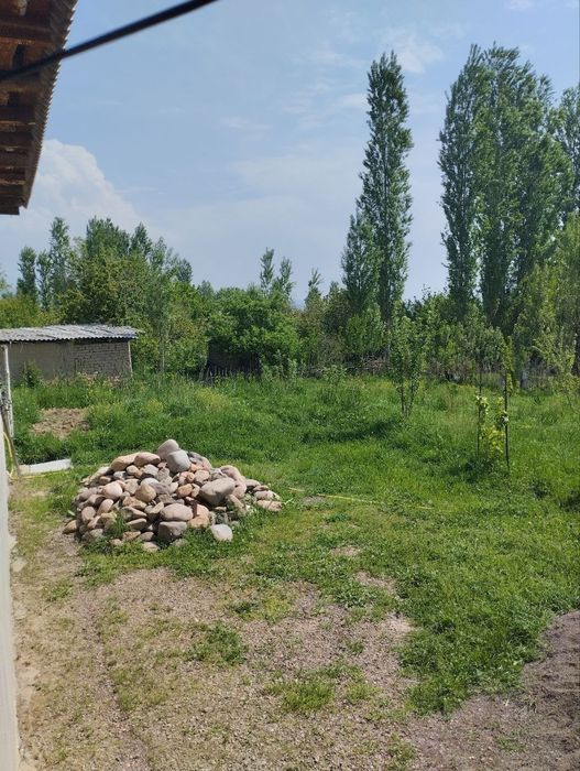 Самарчугда ховли соилади !