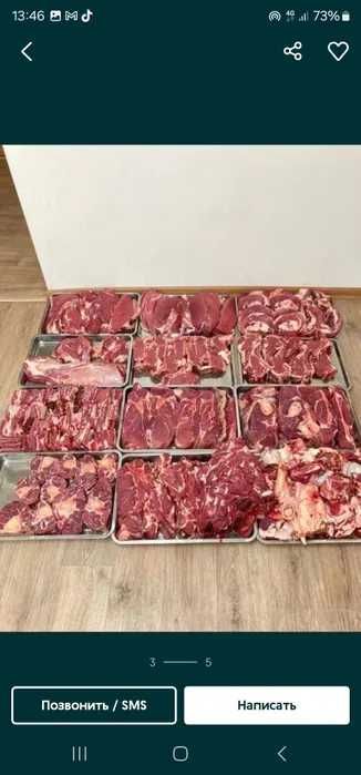 Продается мясо конина