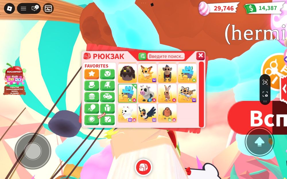 Продам петов в адопт ми