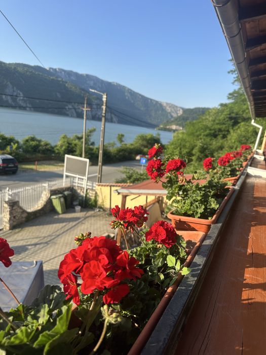 Inchiriez pensiune Cazanele Dunarii - ciubar