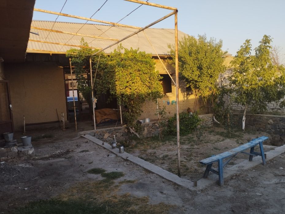 5 sutixli Hovli sotiladi