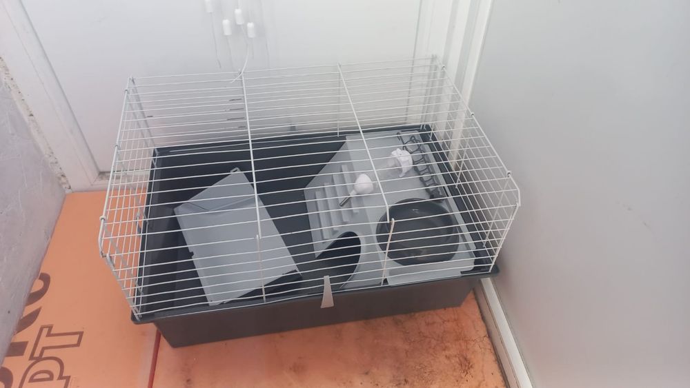 Продам клетку для кролика дикаротивнова