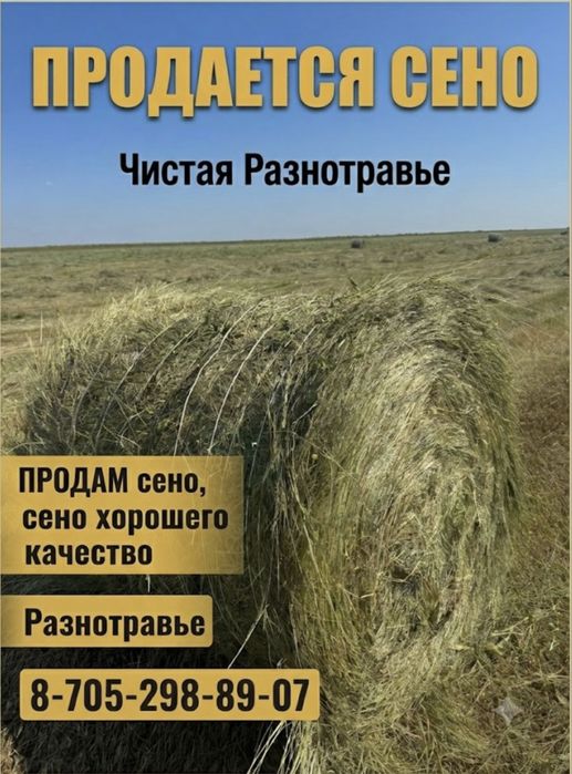 Продам сено разнотравье