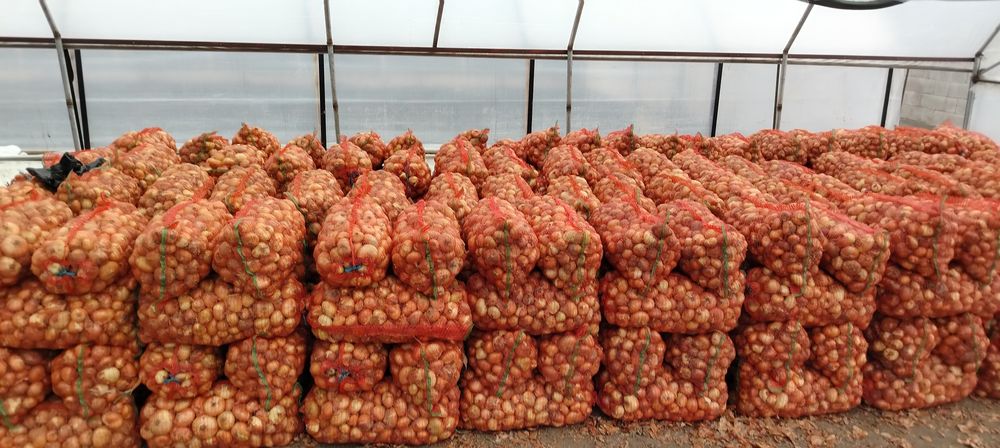 Ciapa plata cantitate mare