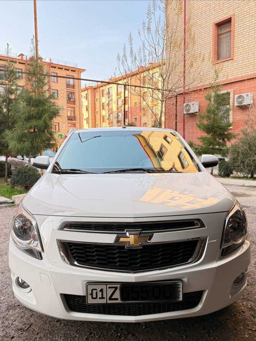 Коблт 2025 йил оқ ранг