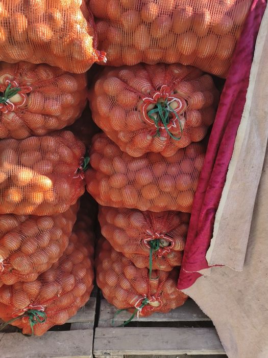 Продам  картофель средний
