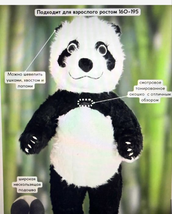 Растовые костюмы