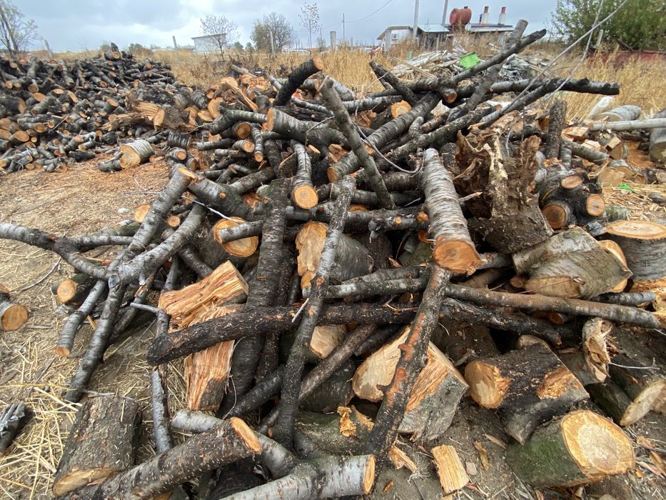 Дърва  за  огрев