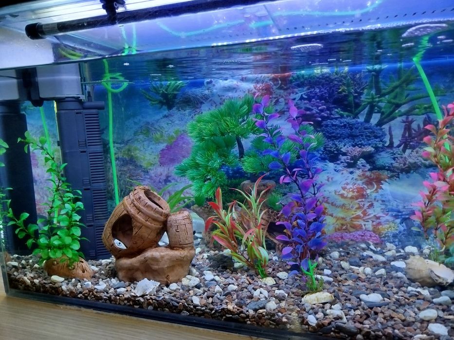 Аквариум на 100 литров