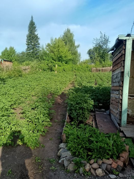 Продам дом в городе Алтай (Зыряновск)