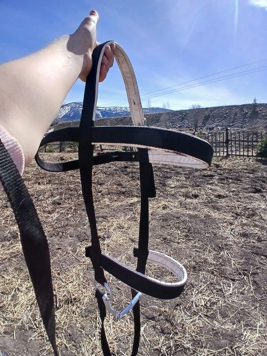 Уздечка для лошадей
