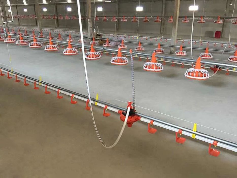 Продается оборудование для птицефабрикы!!!