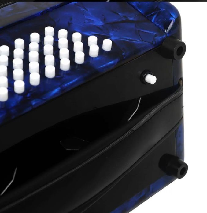 Баян, Weltmeister