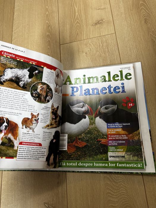 Animalele planetei - reviste educationale
