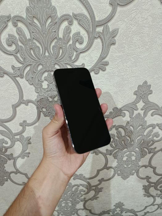 iPhone 14 pro srochna