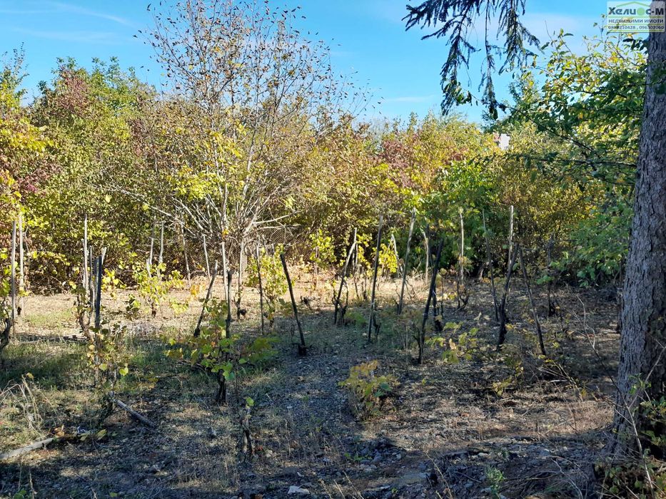 Продава се Къща в Монтана, Парта 1 - 21 кв.м за 607 €/кв.м - Снимка #7