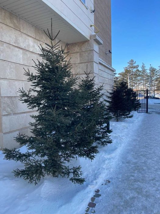 2-х комн ЖК АК-Тылек