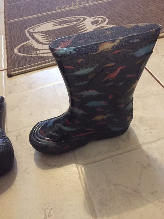 Cizme cauciuc Dinozauri