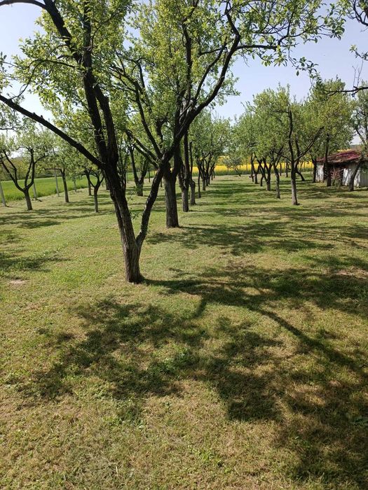 Fermă agricolă Jud Bihor 40282 mp