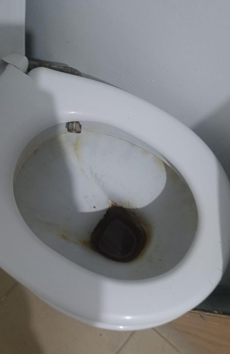 Бесплатно самовывоз пролллии