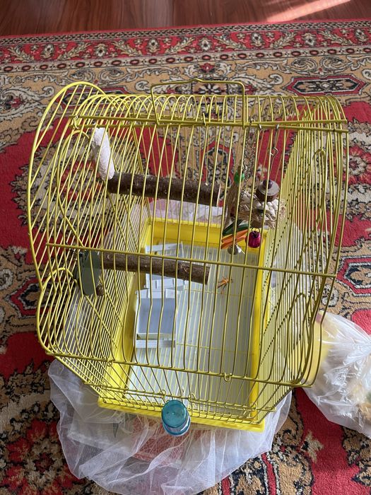 Клетка для попугая