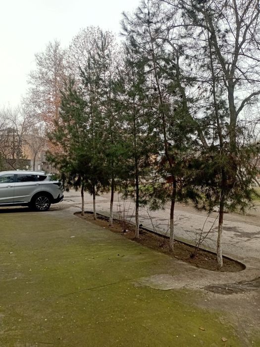 2 xonalik kvartira arenda