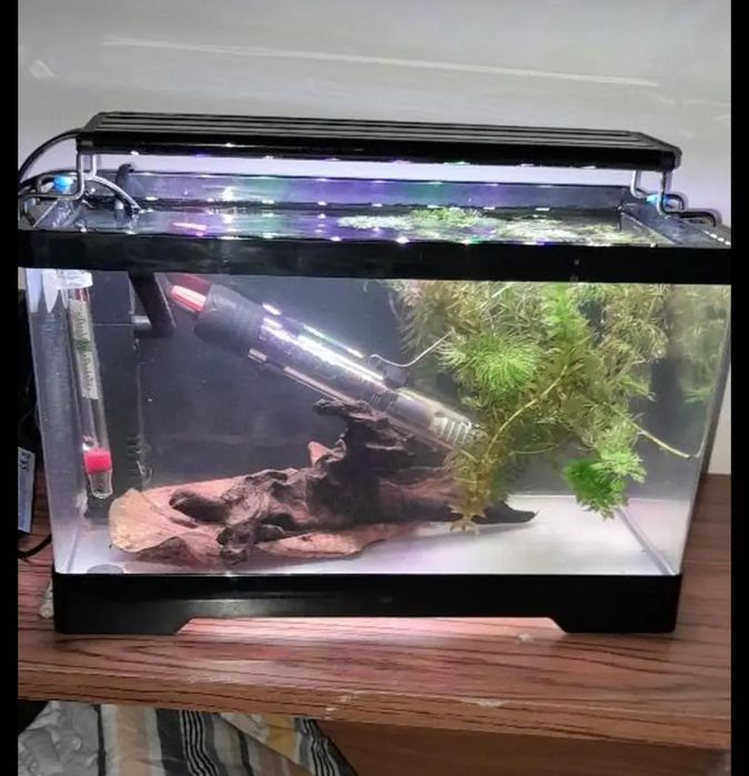 Специализирани аквариумни лампи и корени от азалия