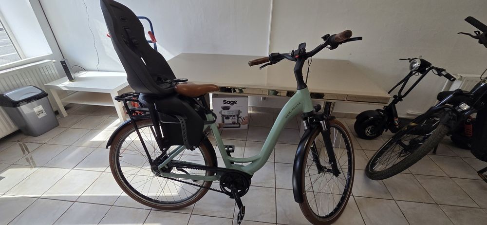 Bicicletă Electrică Premium Riese & Müller Swing Vario – Curea / Enviolo