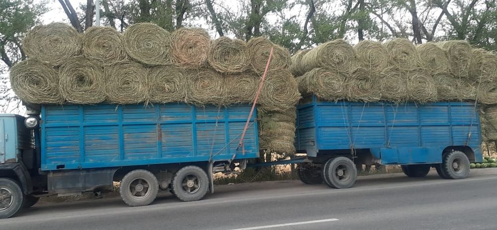 Сено жоношка урлон жоношка сатамын