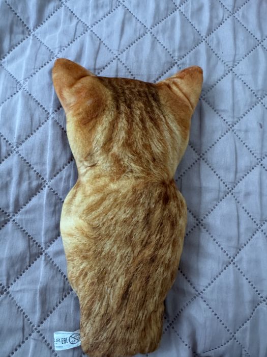 el gato ишркшка