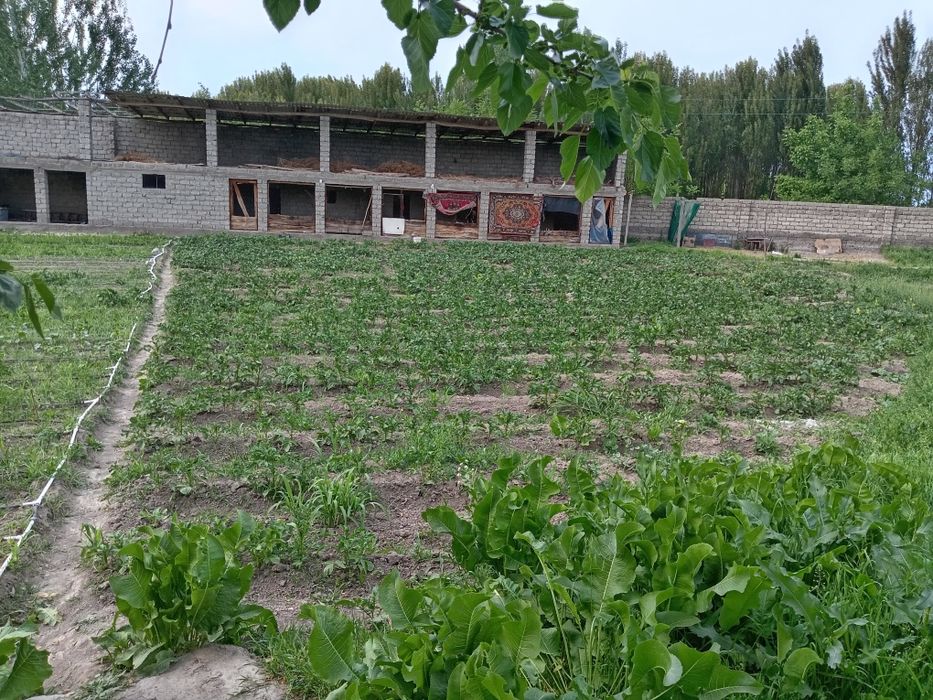 Srochni 24 sotux 2 xonali xamma sharoyitlar bor xovli sotlad