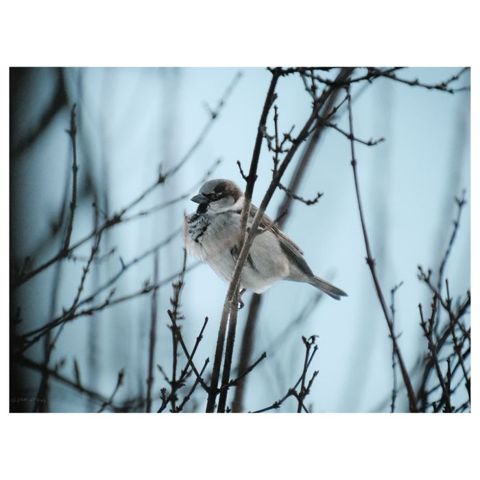 Obiectiv Fujifilm XF 18-300mm f/3.5-6.3 R LM OIS WR

Descriere: