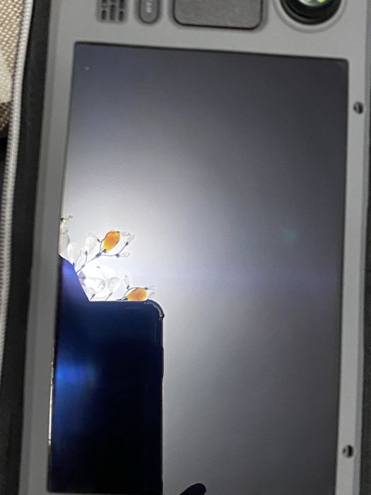 Steam deck Oled 512гб