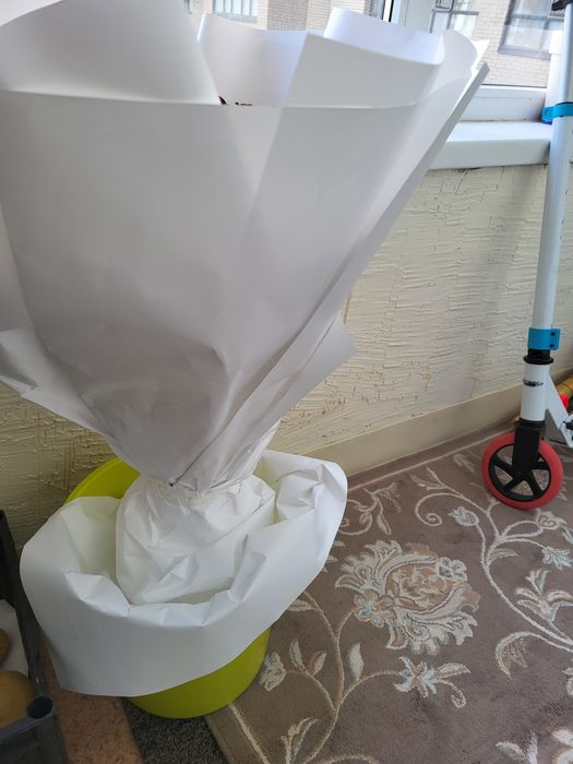 Продам цветы вчерашний