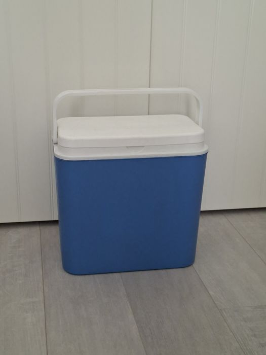 Lada frigorifica 24L + 2 pastile de racire