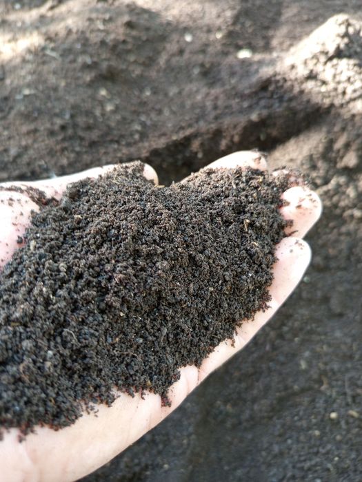 Biyoʻgoʻms bor    Yangiyoʻl 2-kalelin