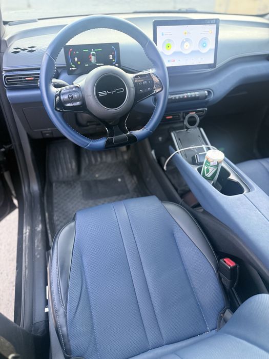 Byd seegull 2024 toza