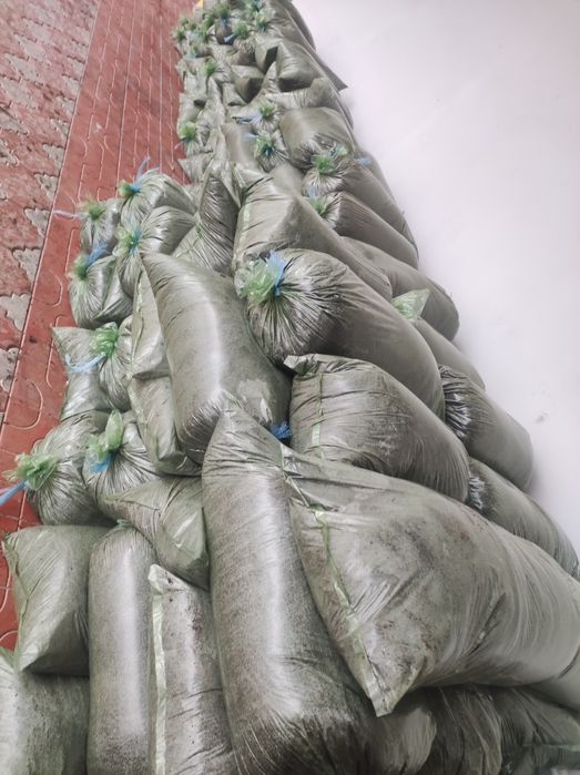 Biogumus bor 0.5 setkada elangan qoplap tayyor holda