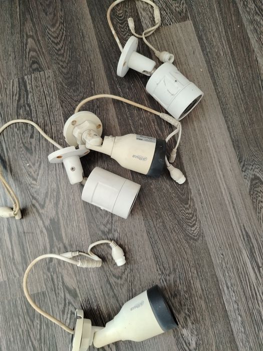 Biseksuallarning guruh jinsiy aloqasi