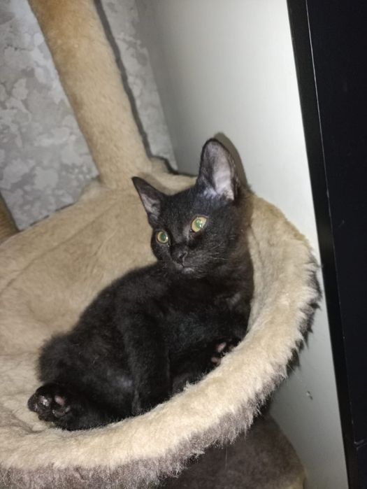 От дам мальчугана в хорошие руки