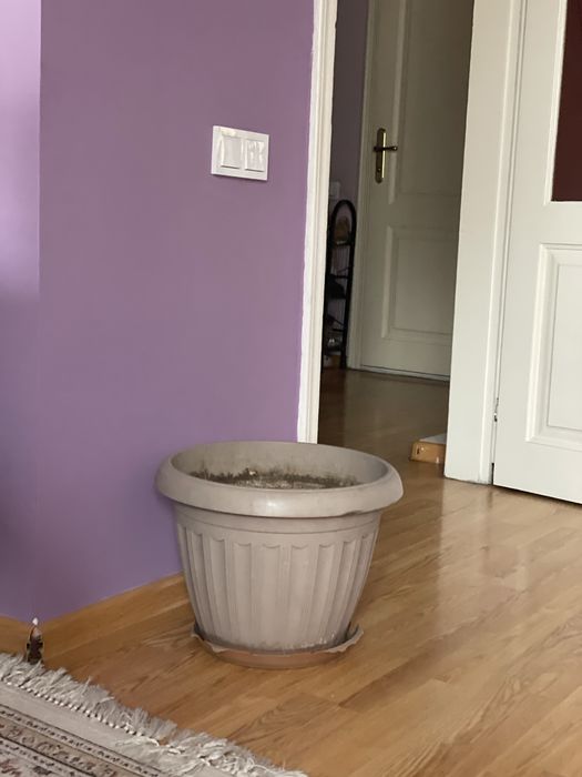 Цветочный горшок Срочно